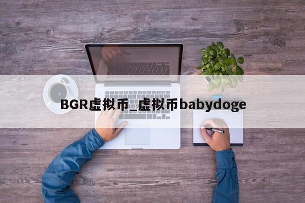 BGR虚拟币_虚拟币babydoge